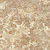 Керамогранит Ракушечник Сары-Таш 300*600*20 полир.